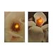 Produktbild Online-Fuchs 2 LED Bilder mit Beleuchtung und Timer! - Leinwandbild 60 x 40 cm - Wandbild mit Blumen (Magnolie)