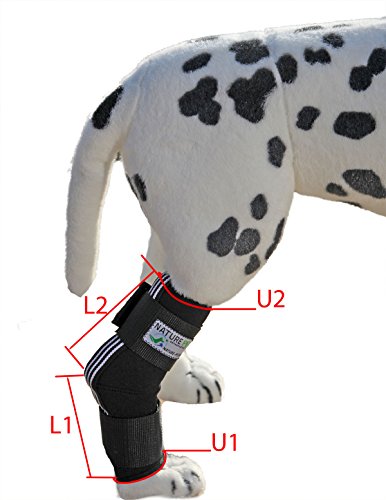 Dog-Hock-Brace-Hock-Bandage-for-Dogs-Hock-Protector-Wrap