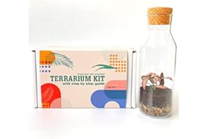 CONCRETELAB&CO Terrarium Kit with Glass Container & Cork Lid, Mini Garden, Gift Idea, DIY Kit (Kit Only)