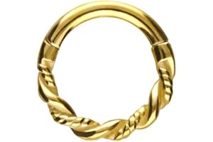 PIERCINGLINE Segmentring Clicker doppelt gedreht Chirurgenstahl Piercing für Nase Septum Ohr Helix Tragus 4 Farben & Größen