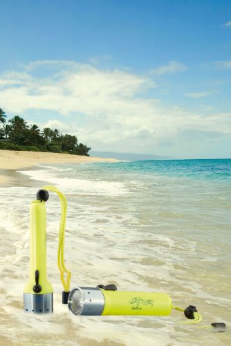 Led Lenser – Frogman D14 wasserdichte Taschenlampe neon 85 lm - 2