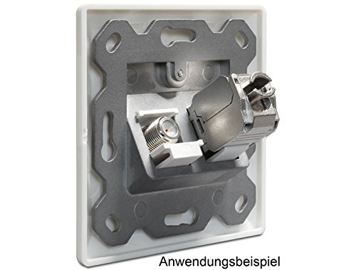 DELOCK Keystone Anschlussdose 2 Port - 4