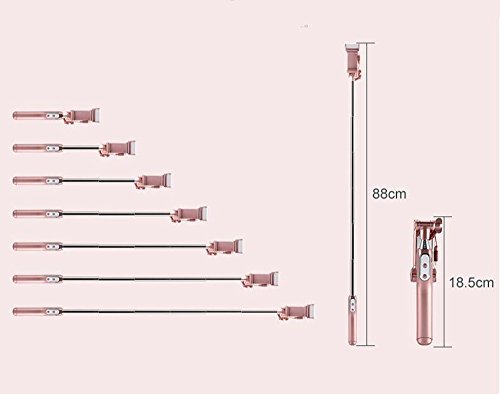 Delmkin Asta per selfie Mini Selfie Stick con luce SelfieÂ â€“Â per tutti i IOS, Android Smartphone, bianco