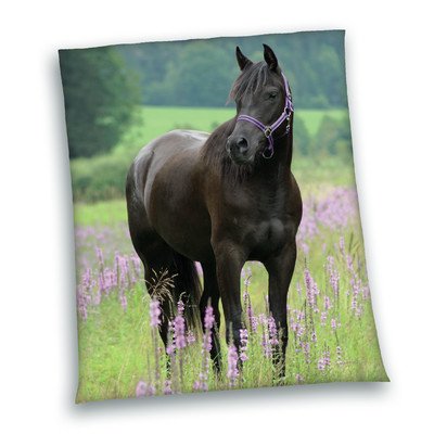 Preisvergleich Produktbild Fleecedecke Young Collection