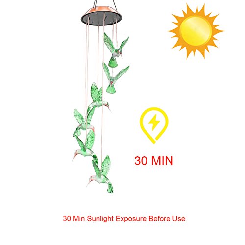 Solarleuchte Windspiele Pathonor Außenleuchten LED-Leuchten solarbetrieben Farbwechsel Kolibri Windspiel für Home/Party/Nacht Garten Dekoration rot Farbwechsel - 7