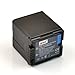 Produktbild DSTE VW-VBG260 VBG260 Lithium-Ionen-Batterie für Panasonic HDC-SD9 HDC-HS9 HDC-SX5, 7.4 V, 2800 mAh, Intelligentes Akkusystem