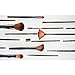 LaRoc 16 Pieces Makeup Brush Cosmetic Set Kit Eyeshadow Foundation Powder Blush Eye