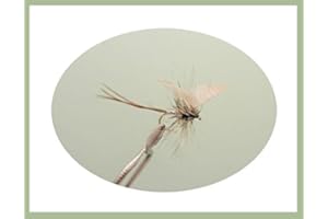 TROUTFLIES UK WET FLIES Grey Drake Mayflies for Fly Fishing, 6 Pack Grey Drake size 10 hook, Trout
