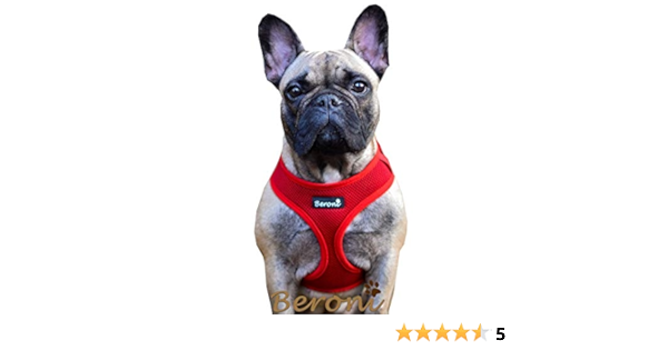 frenchie brand harness