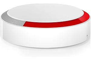 Somfy 2401491 - Sirène Extérieure Somfy Protect | Compatible Gammes Home Alarm et Somfy ONE | 112dB & Flash Lumineux