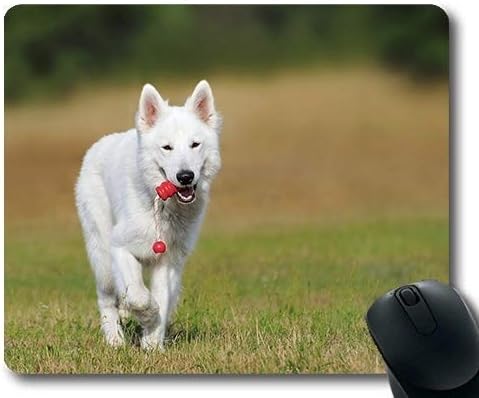 Precision seam edge gaming mouse pad,Gaming mouse pad mouse mat for mac and windows gamer Swiss Shepherd Dog Dog White Animal Play Pet for women/men/kids sold by Roger