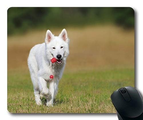 Precision seam edge gaming mouse pad,Gaming mouse pad mouse mat for mac and windows gamer Swiss Shepherd Dog Dog White Animal Play Pet for women/men/kids sold by Roger