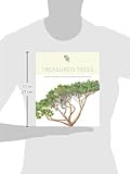 Image de Treasured Trees