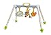 Taf Toys Take-to-Play Baby Gym RS.3699.00