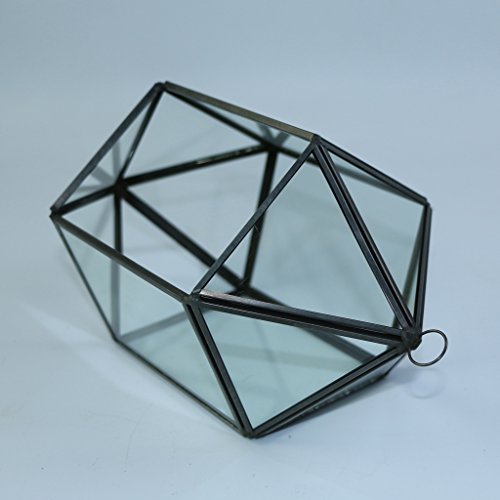 MagiDeal Modern 18-Seitig Hängeblumentopf Glas Geometric Blumentopf Blumen Pflanzen Vase Box Terrarium für Haus Wohnzimmer Garten Deko - 3
