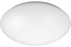 Niermann Standby Deckenleuchte 29 cm, 1 flammige Wandleuchte, Deckenleuchte aus Stahl und Kunststoff, Farbe: Weiß, Fassung: E27, für Bad, Flur, Keller, Garage, Treppenhaus