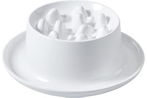 Koomiao Gamelle d'alimentation Lente, Surélevée Protéger Cou Antidérapante, Anti Glouton Anti-étouffement, Alimentation Saine Gamelles pour Chat Chien (Blanc)