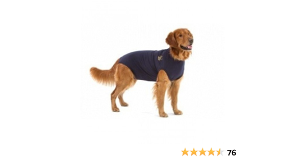 Medical Pet Shirt Medium Amazon Co Uk Pet Supplies