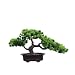 Produktbild Home Hochzeit Lucky Dekoration Deko Pflanze,Feng Shui Deko,Japanischer Pinien,Höhe ca. 20 cm,Green, 19