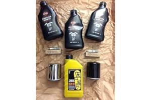 GZM - Kit de mantenimiento, bujías, aceite de motor, original para Harley Davidson, transmisión primaria, filtro de aceite, Sportster XL 883 1200, Forty-Eight, Seventy-Two, 1200 Custom, SuperLow, Iron 883, 1200 Nightster, XR1200 X
