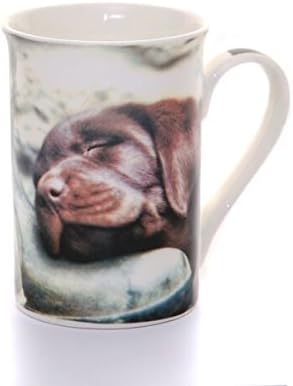 Pup on Boot Fine Bone China Mug in Gift Box Cute Sleeping Labrador Puppy