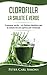 Produktbild Clorofilla - La Salute è Verde: Il sangue verde – un fattore decisivo per la salute ed una spinta per l’energia