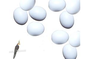 BTV Nesteier für Großsittiche Nymphensittiche 10 Stück