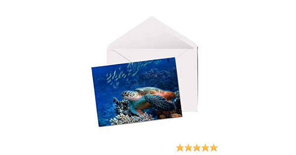 Sea Turtle Carte De Vœux A5 Vierges Pour Anniversaire Plongee Sous Marine Surf Plage 2334 Amazon Fr Fournitures De Bureau