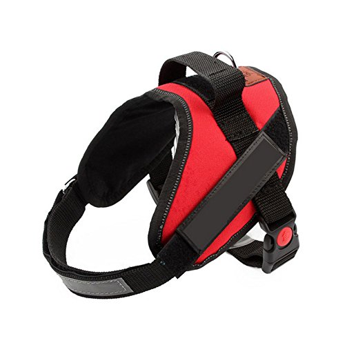 Preisvergleich Produktbild VictoryCN Kühle Qualitätshaustiergeschirr Haustier Hosenträgergurt(Rote M)