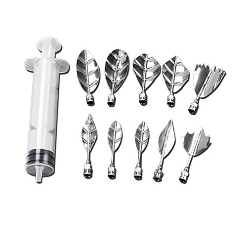 hou zhi liang 3D Gelatin Art Tools Set of 10 pieces Jelly Cake Stainless Steel Needles Coming with One Syringe Pudding Pastry Nozzles 1 set