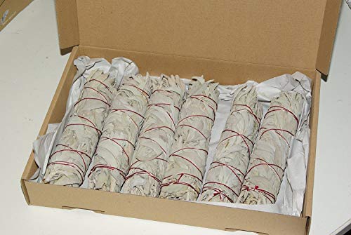 Batonnets de Sauge blanche - lot de 6 - batons/empaqueter / ballot/Encens WHITE SAGE 6 x Smudge 7-8'' (~21cm~40-45gr.)