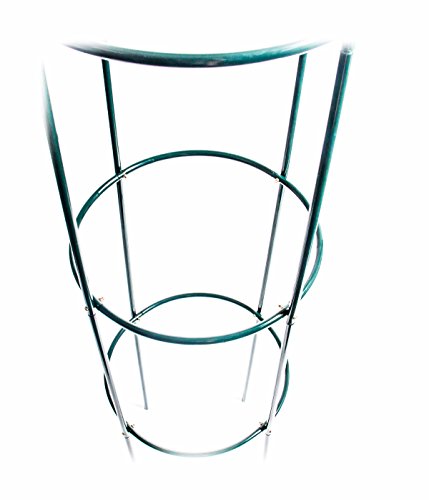 Rosenbogen / Rankhilfe aus Metall, 3 Etagen, Höhe ca. 180 cm, Farbe Grün - 3