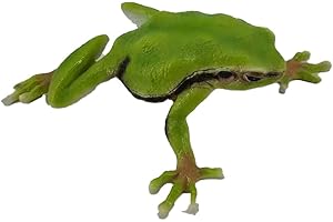 G&H DECOR Decorazione ornamentale con dettagli intricati – resistente al gelo – Scultura da giardino per laghetti da giardino adatto per uso interno ed esterno – Toad Patio regalo