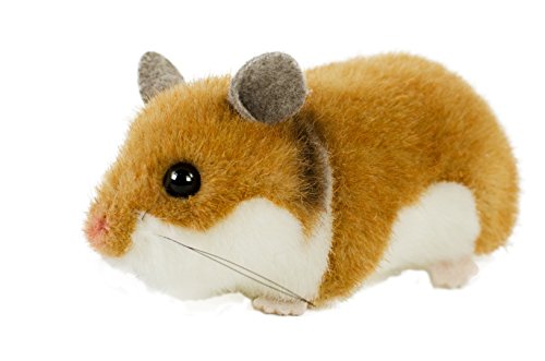 Preisvergleich Produktbild Kösen, Goldhamster lgd.