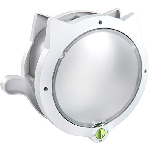 cat flap in metal door