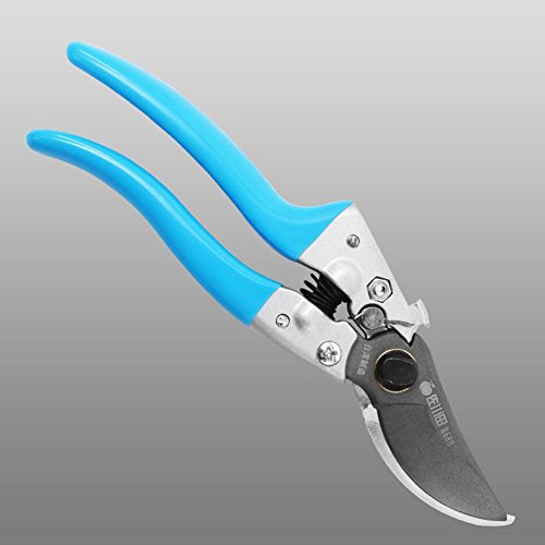 SCISSORS Shears Bypass Pruning Shears Pruning Garden Tools Gardening Shears Best For Trees Plants Hedges
