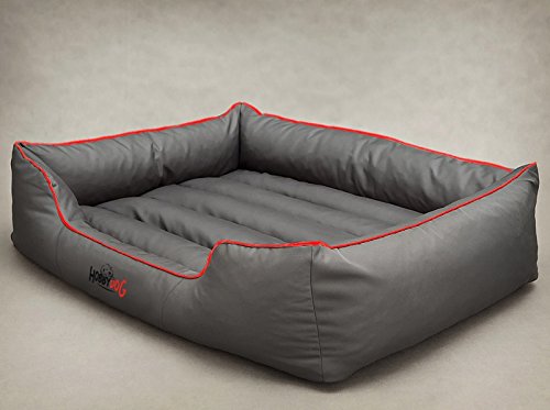hobby dog bed