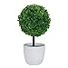 Produktbild Huhuswwbin Künstliche Pflanzen, Kunstpflanze, Formschnitt-Form, Bonsai, Kunstpflanze, Dekoration, Grün