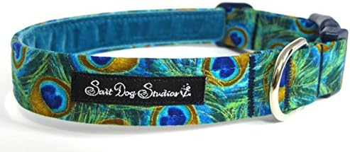 Peacock Dog Collar Medium 12-19" 1" Width