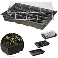 Amazon.es: Semilleros - Invernaderos y equipos de germinación: Jardín