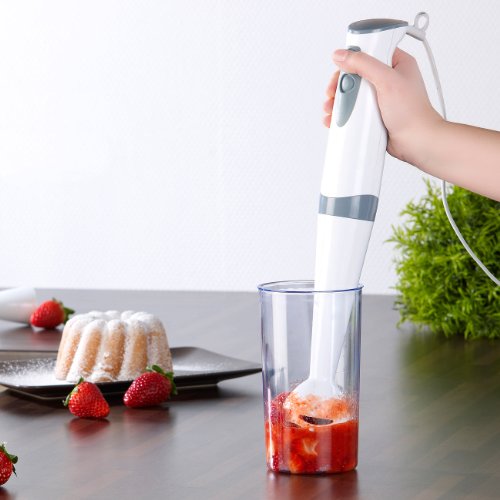 Rosenstein & Söhne Stabmixer mit Becher, 250 W - 3