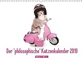 Der philosophische Katzenkalender 2019 (Wandkalender 2019 DIN A3 quer): Lustige Zitate, die von Katzen stammen könnten (Monatskalender, 14 Seiten ) (CALVENDO Tiere) by Madame Missou