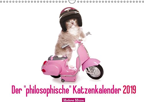 Der philosophische Katzenkalender 2019 (Wandkalender 2019 DIN A3 quer): Lustige Zitate, die von Katzen stammen könnten (Monatskalender, 14 Seiten ) (CALVENDO Tiere)