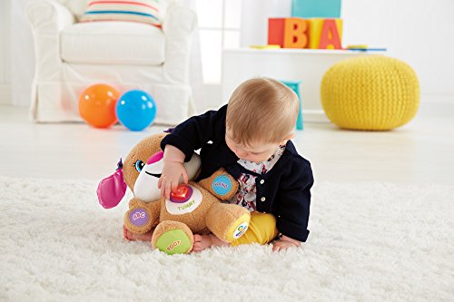 Fisher-Price Laugh & Learn Smart Stages Sis (with Bonus DVD)