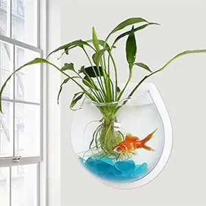 GlobalNiche? White, M: Pot Plant Wall Mounted Hanging Aquarium Transparent Acrylic Fish Bowl Fish Tank Flower Plant Vase Home Decoration