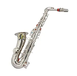 SOUND SAGA Special Design Alto Saxophone New Variations Color With All Accessories Including Mouthpiece & Case. (SILVER)