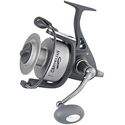Ryobi Carnelian 20000 Black