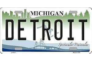 TNND Plaque d'immatriculation en métal de Detroit Michigan - 15,2 x 30,5 cm