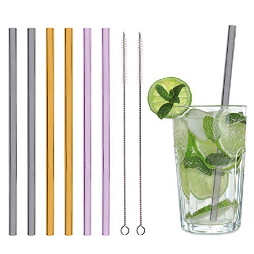 KaraLuna Lot de 6 pailles en Verre + 2 brosses de Nettoyage I 22 cm