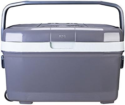 Car refrigerator,Car Cooler Car refrigerator45L Car Refrigerator Cooler Mini Portable Freezer Car Refrigerator Hot And Cold 12V AC